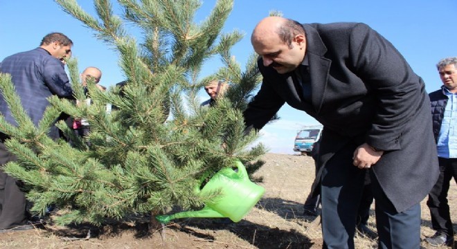 Aziziye'de yeşil çevre yatırımı