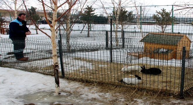 Büyükşehir'den Uyarı: ‘Hayvanları mağdur etmeyin'