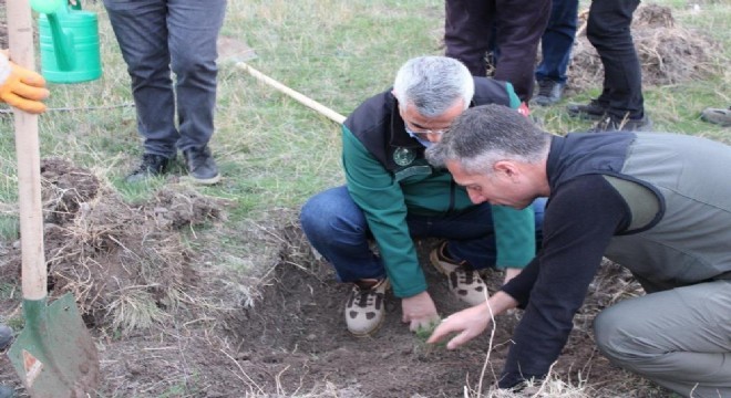 DSİ ve OBM'den ‘Yeşil Vatan’ için güç birliği