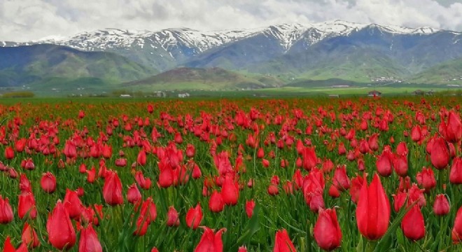 Doğu Anadolu'dan tablo gibi görüntü