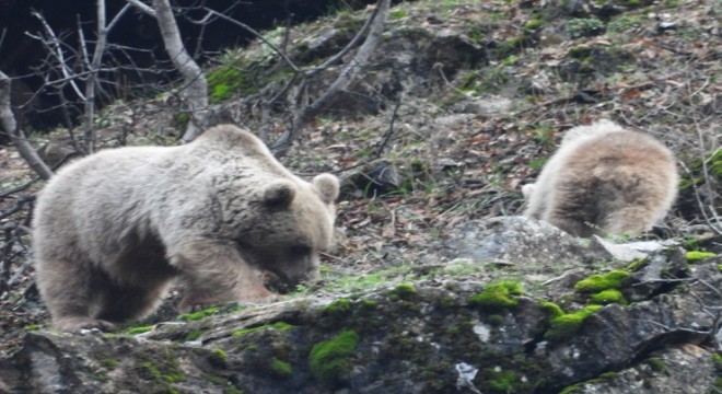 Doğu'dan Kış ortasında yürek ısıtan görüntü