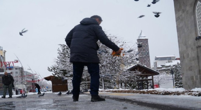Doğu'da kar yağışı devam ediyor