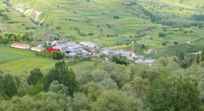 Erzurum'dan uzman çağrıldı