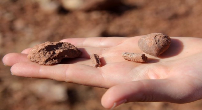 Fosil bulundu, hassas alan' listesine alındı
