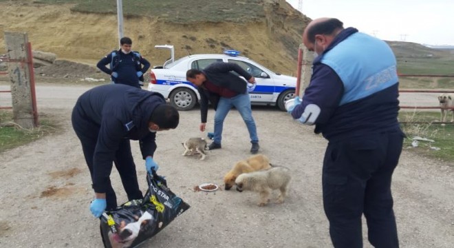 Horasan Belediyesi'nden örnek yaklaşım