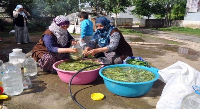 Hınıs ve Tekman'dan toplayıp Muş'ta tüketiyorlar