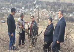 OBM'den bölgesel açılım