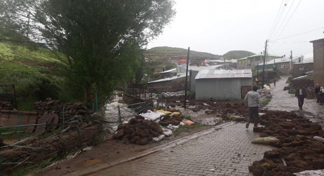Tekman Düzyurt'ta evleri su bastı