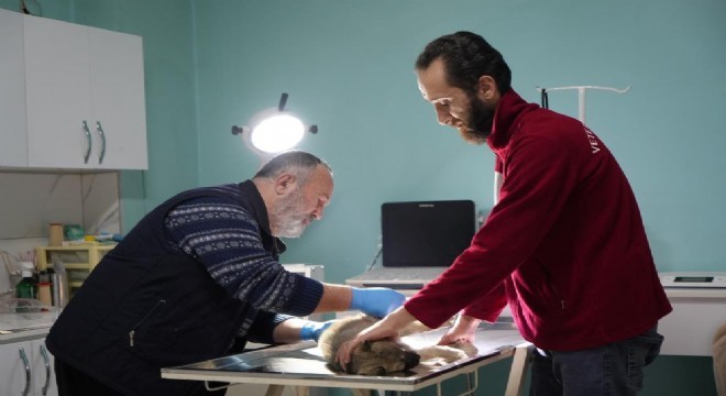 Uzun yol şoföründen örnek duyarlılık