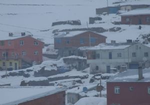 Ardahan'da şizofren cinneti