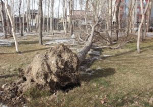 Meteorolojiden önemli uyarı