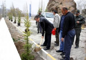 Orman İşletmesi'nden şehitlere saygı