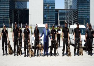 7 ‘süper burun' iş başında