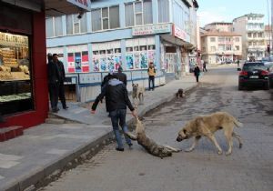 Valilik zulmü soruşturacak