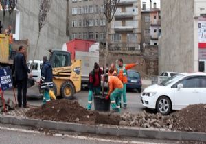 Yeşil Erzurum için ‘büyük' atılım